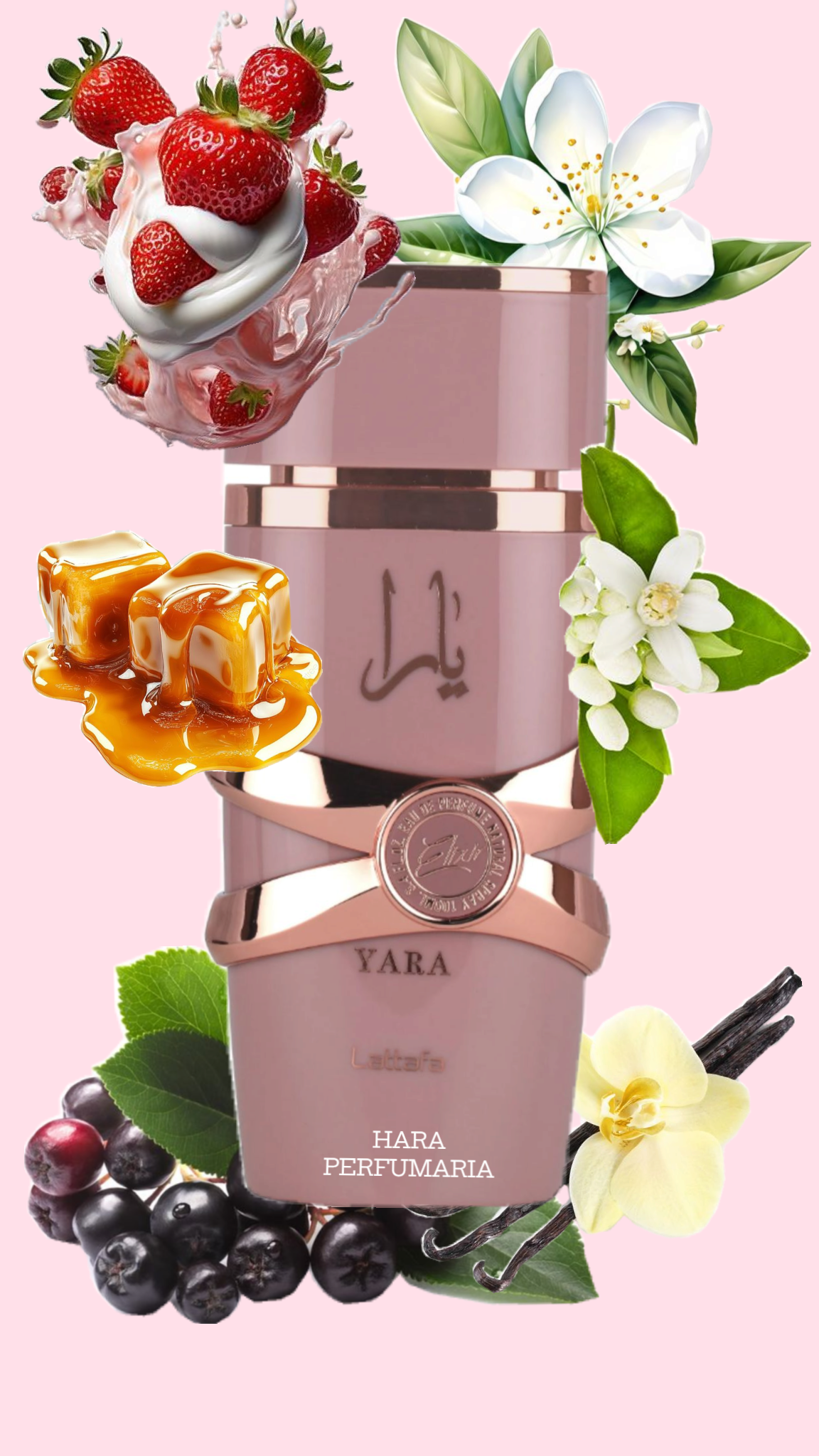 Yara